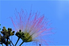 散歩の途中で。Ⅳ