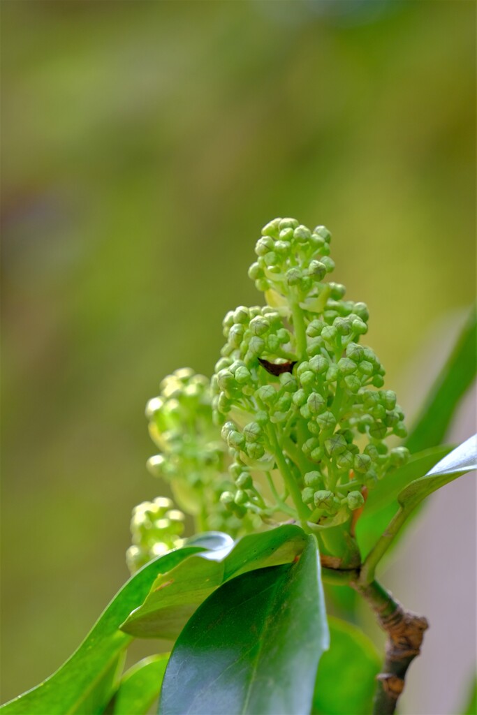 散歩の途中で。4