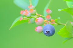 散歩の途中で。