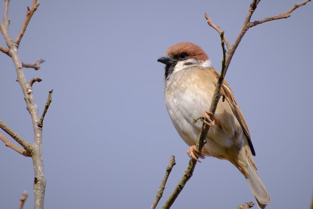 散歩の途中で。7