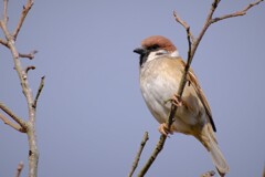 散歩の途中で。7