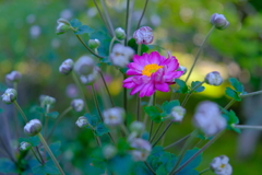 散歩の途中で。Ⅳ