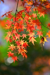 散歩の途中で。Ⅰ