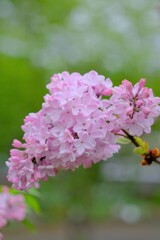 散歩の途中で。①