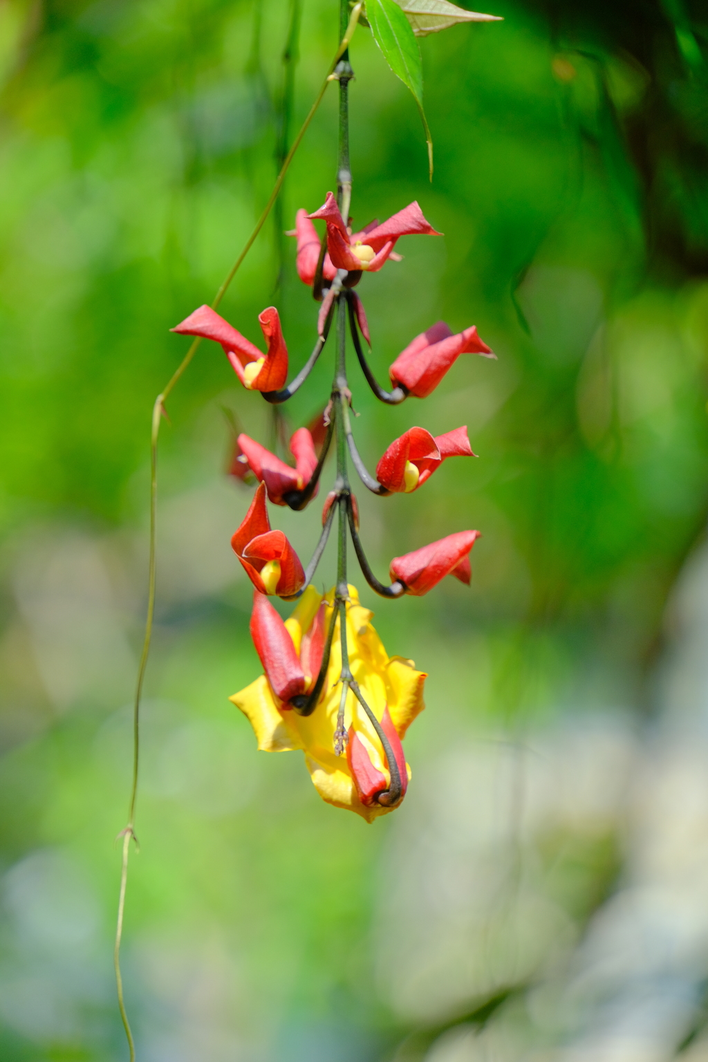 散歩の途中で。7