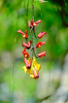 散歩の途中で。7