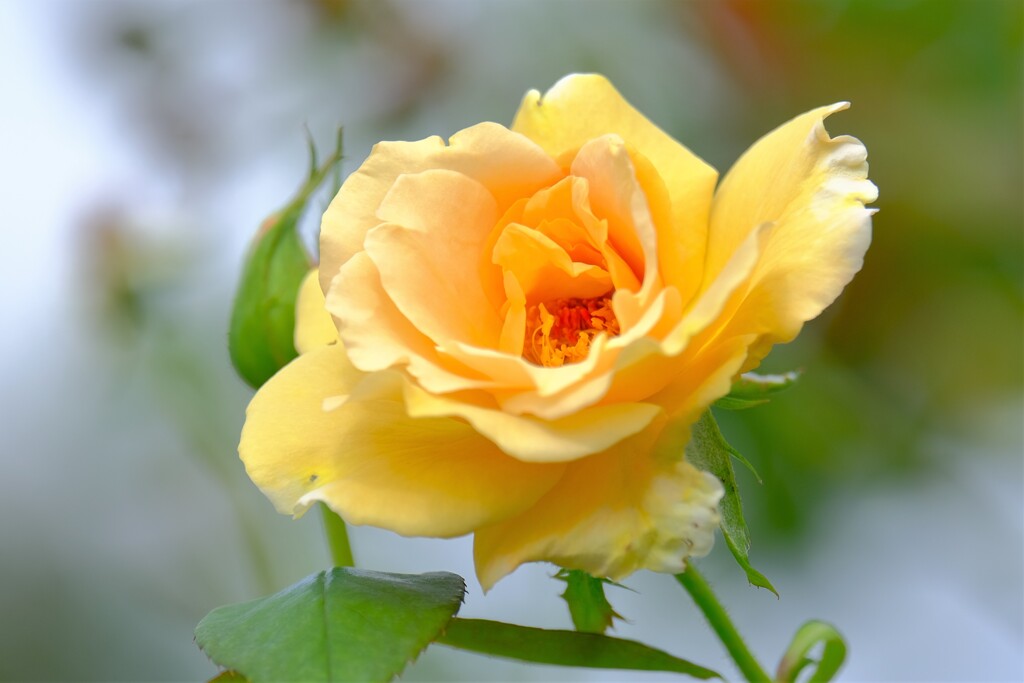 散歩の途中で。Ⅴ