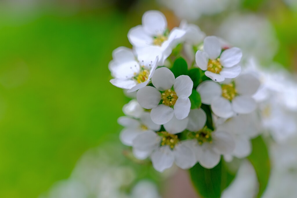 散歩の途中で。Ⅴ