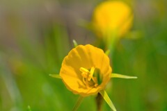 散歩の途中で。⑦