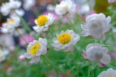 散歩の途中で。Ⅸ