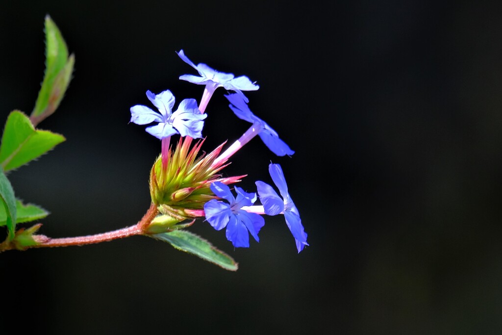 散歩の途中で。１