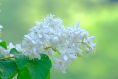 散歩の途中で。（４）