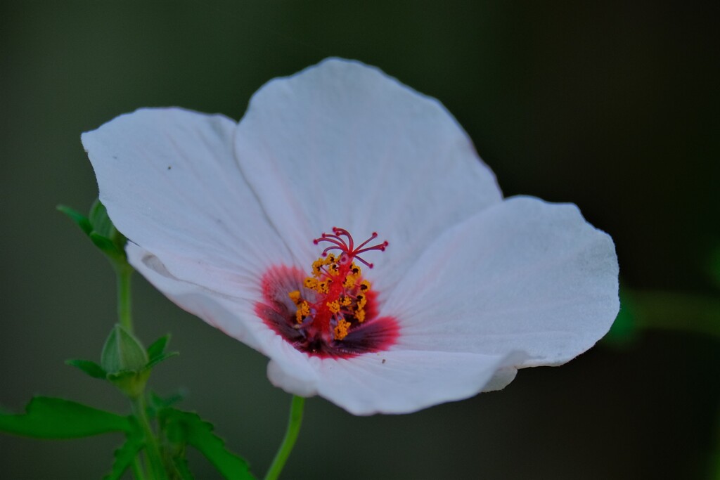 散歩の途中で。②