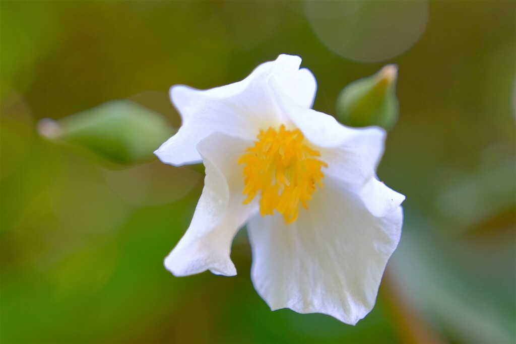 散歩の途中で。２