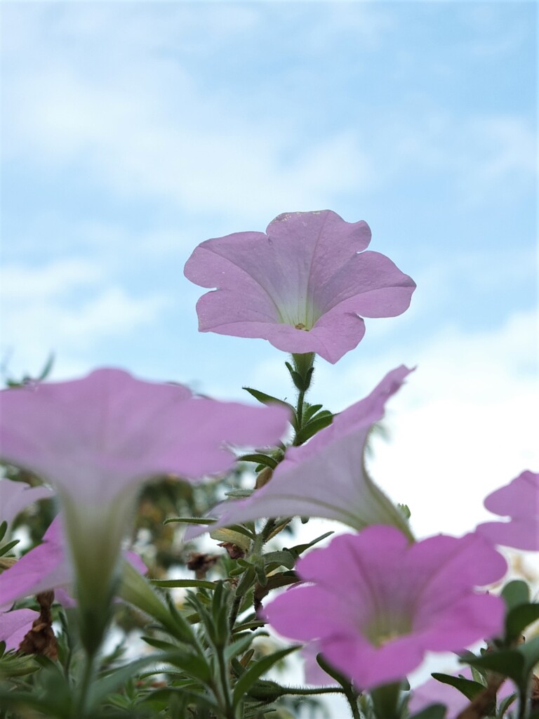 散歩の途中で。３