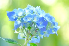 散歩の途中で。