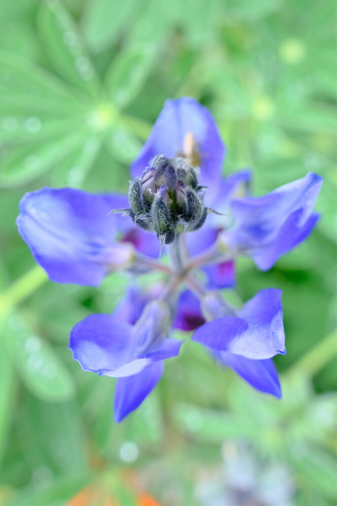 散歩の途中で。Ⅹ