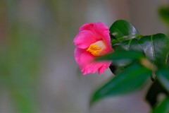 散歩の途中で。Ⅳ