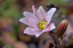 散歩の途中で。Ⅳ