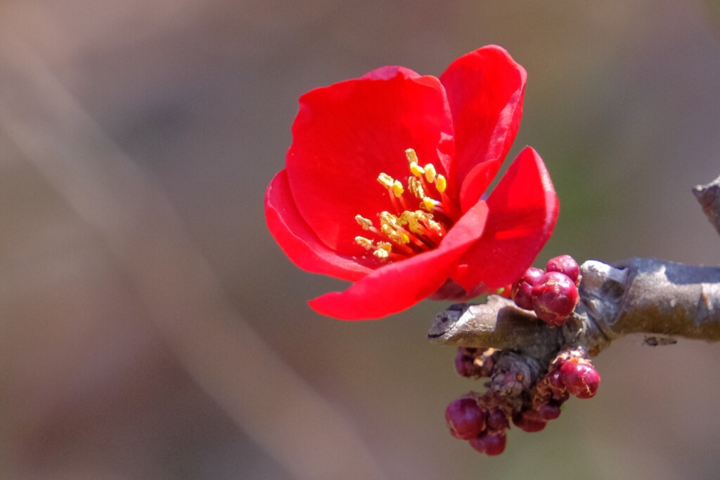 散歩の途中で。Ⅱ