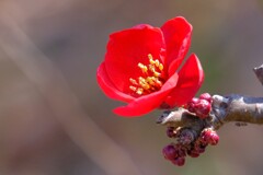 散歩の途中で。Ⅱ