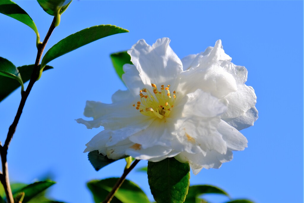 散歩の途中で、⑤