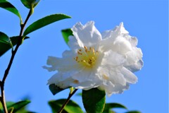 散歩の途中で、⑤