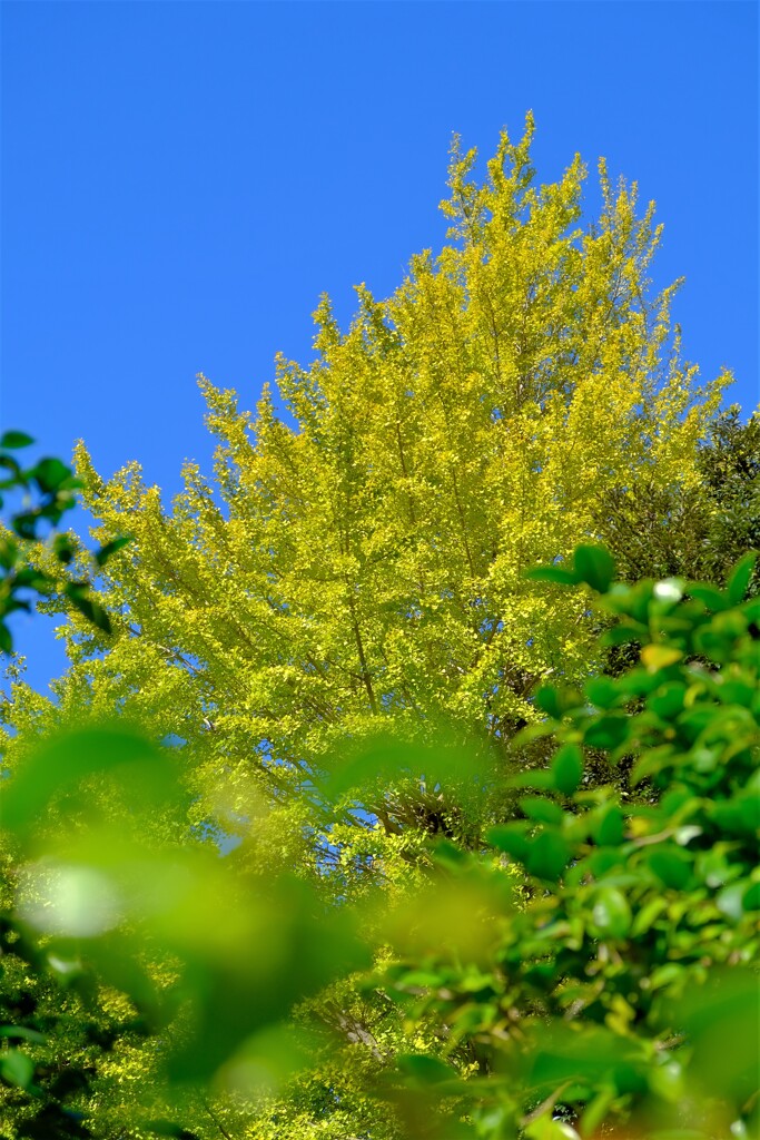 散歩の途中で。Ⅳ