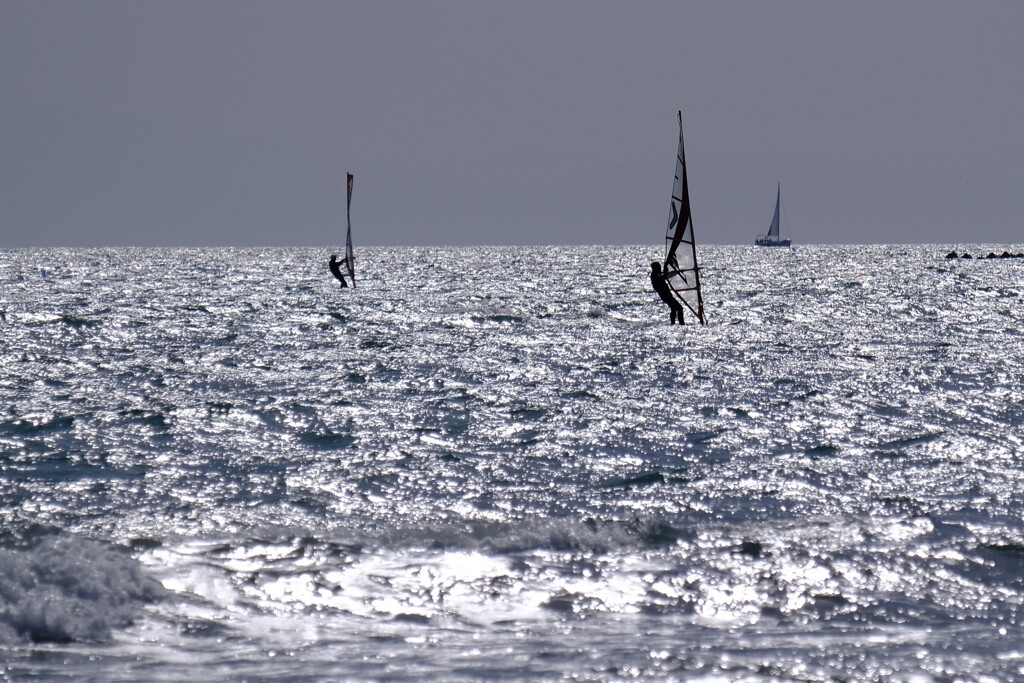材木座海岸で。