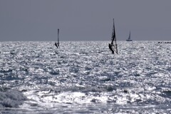 材木座海岸で。