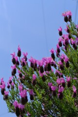 散歩の途中で。Ⅷ