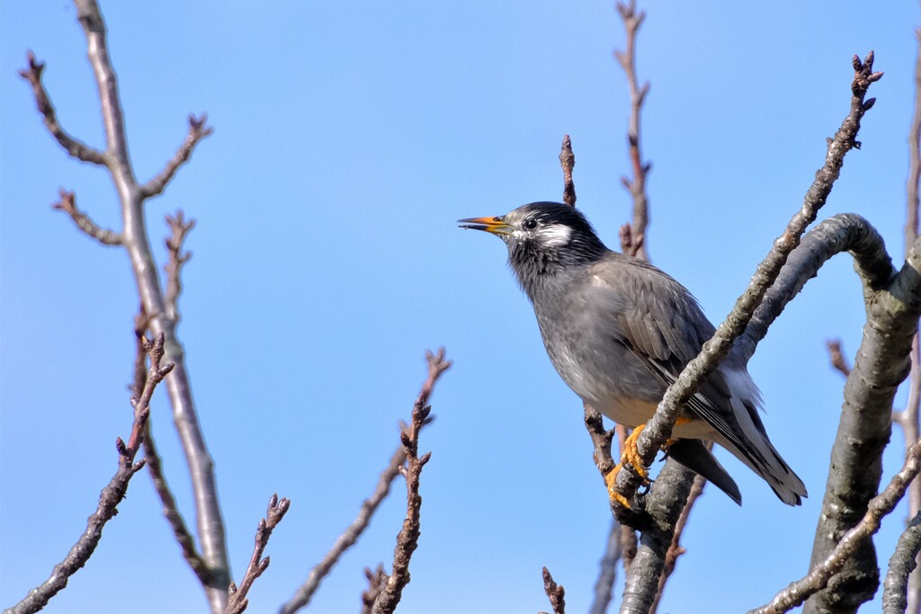 散歩の途中で。Ⅲ