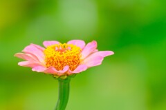 散歩の途中で。