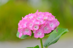 (10)散歩の途中で。8