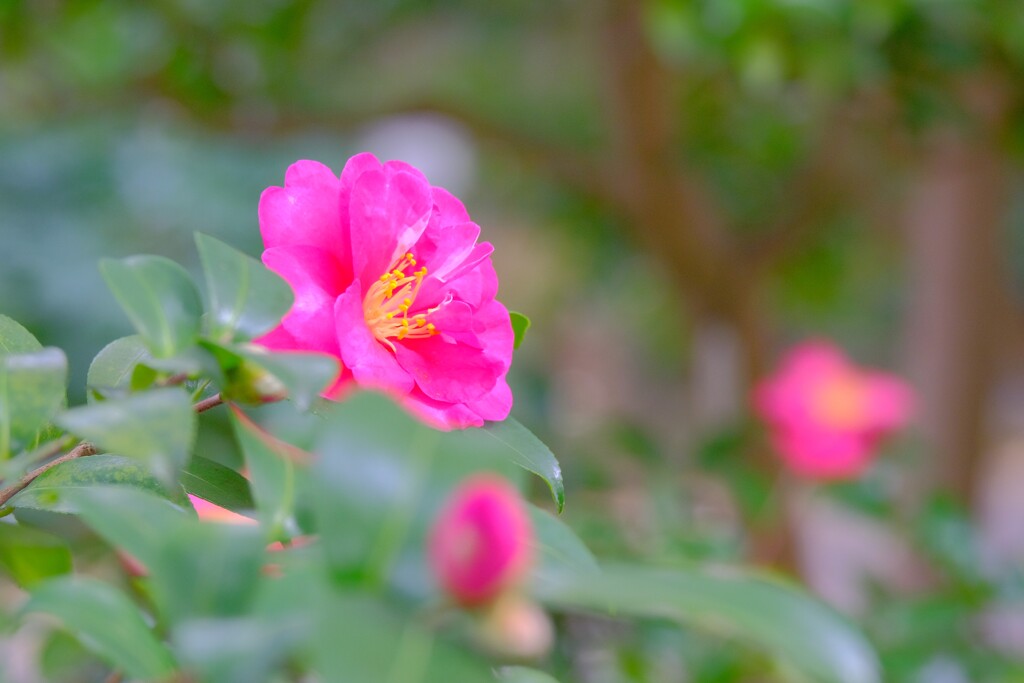 散歩の途中で、Ⅱ
