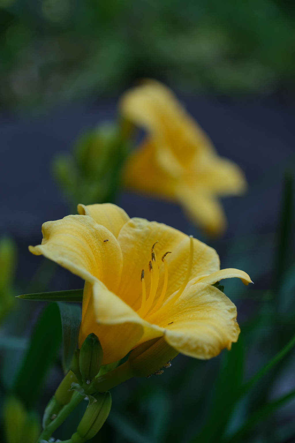 散歩の途中で。5