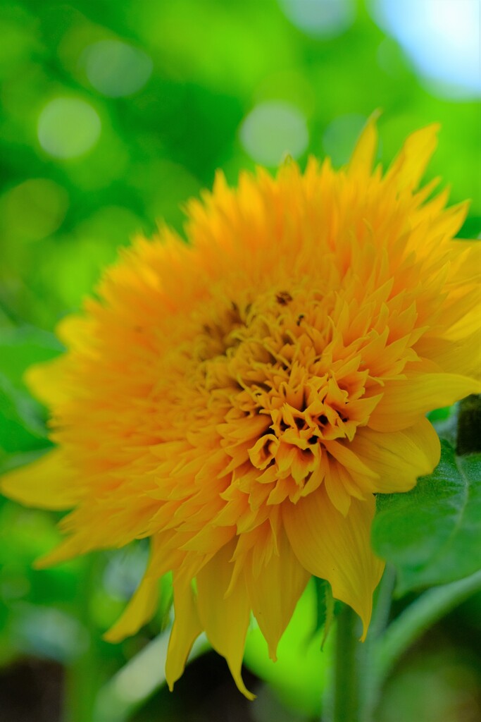 散歩の途中で。③