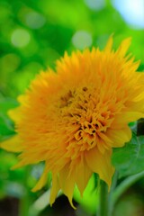 散歩の途中で。③