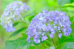 散歩の途中で。