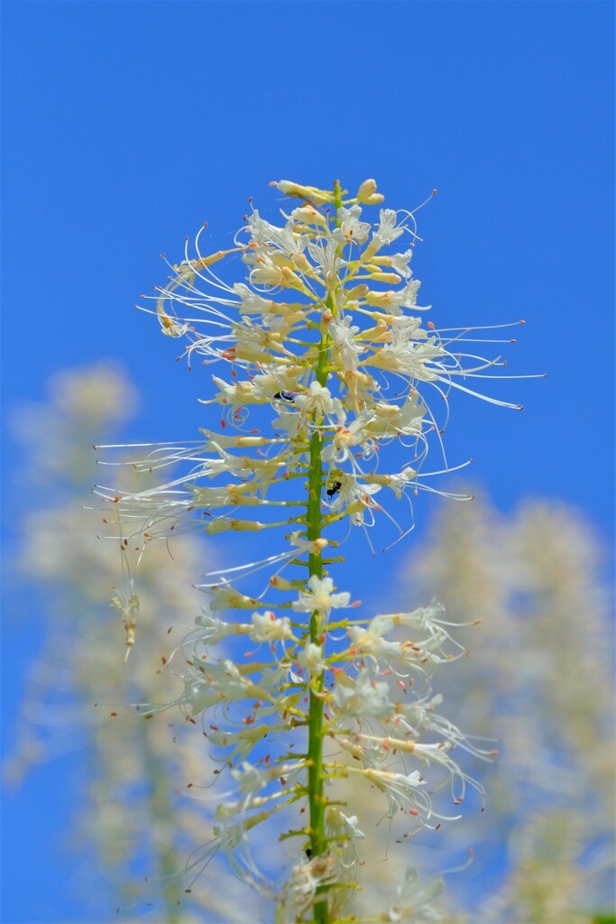 散歩の途中で。⑤