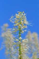 散歩の途中で。⑤