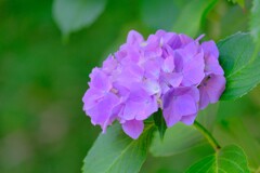  (6)散歩の途中で。9