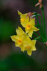 散歩の途中で。③