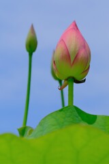 散歩の途中で。⑨