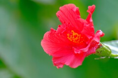 散歩の途中で。２