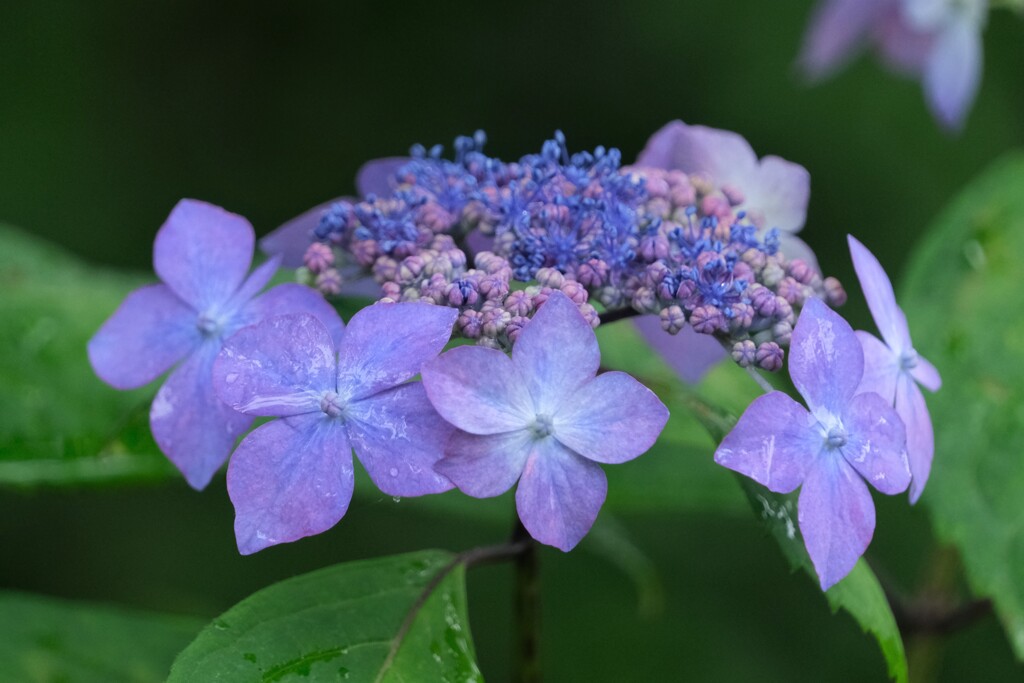 散歩の途中で。Ⅵ