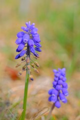 散歩の途中で。9