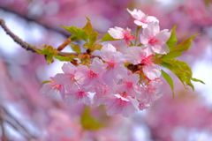 散歩の途中で。Ⅰ