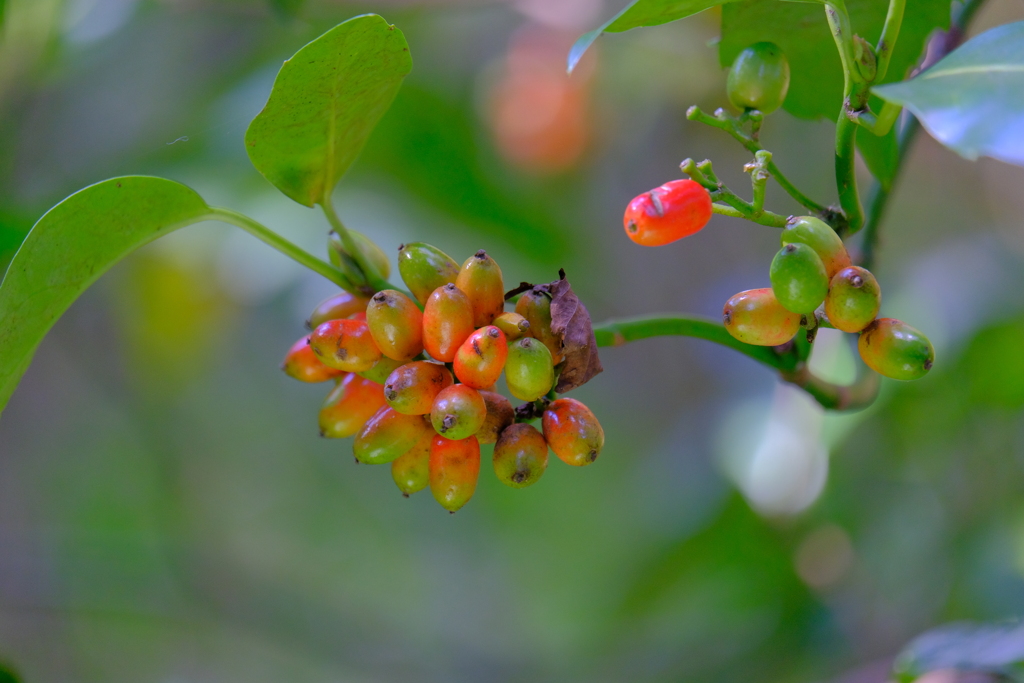 散歩の途中で。Ⅰ
