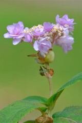 散歩の途中で。１